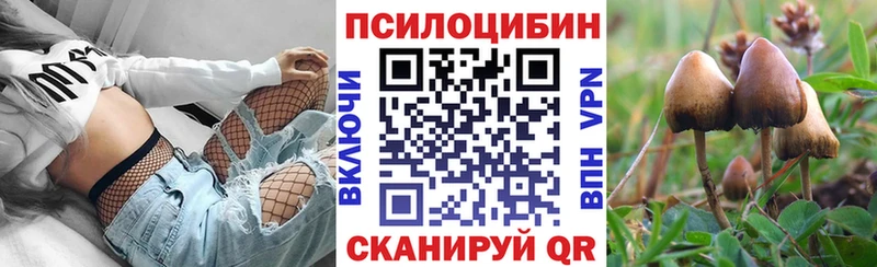 Галлюциногенные грибы Psilocybe  хочу наркоту  Балтийск 